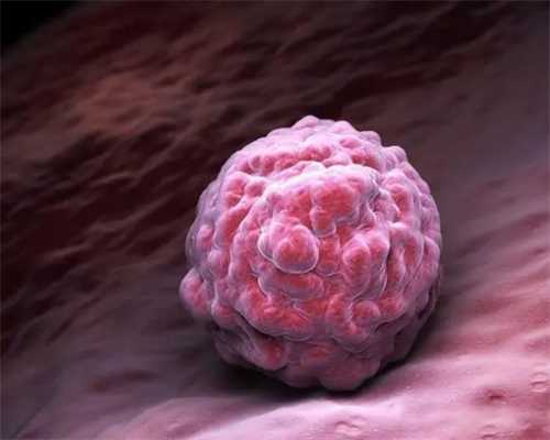 英国留学生毕业几个月拿不到毕业证，学校：因为没纸......