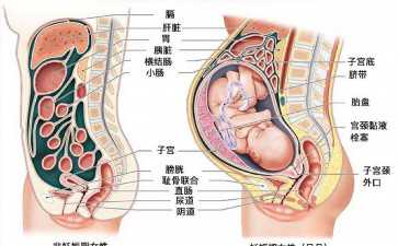 大一女孩，减肥减到四五天不排便得了周杰伦同款病，睡觉翻不了身