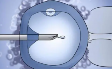 聚焦教育现代化2035 办好新时代留学生教育