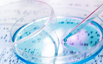 有岗有编！保定市2024年公开选聘教师293名