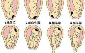 维基百科：俄乌战争时间轴（2024-07-24）