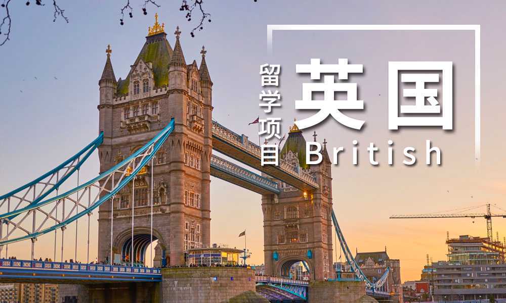 留美学生做直播卖货，帮助华人老移民收入翻8倍，却休学回了国