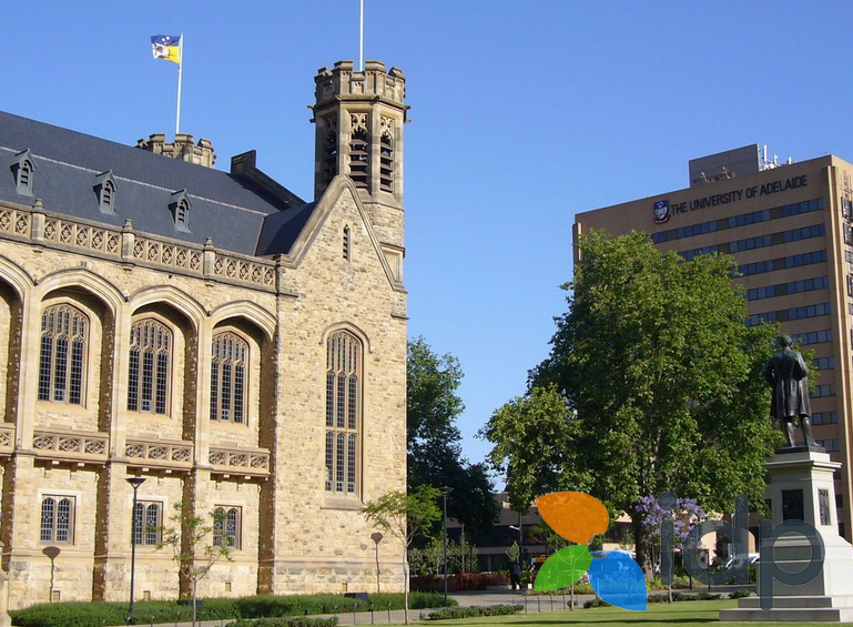 干货|公证办理真的麻烦吗？一文说清翻译公证的相关知识！