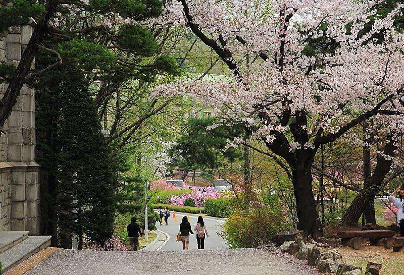 2024年广东佛山市第一中学公开招聘教师6人公告（第三轮）