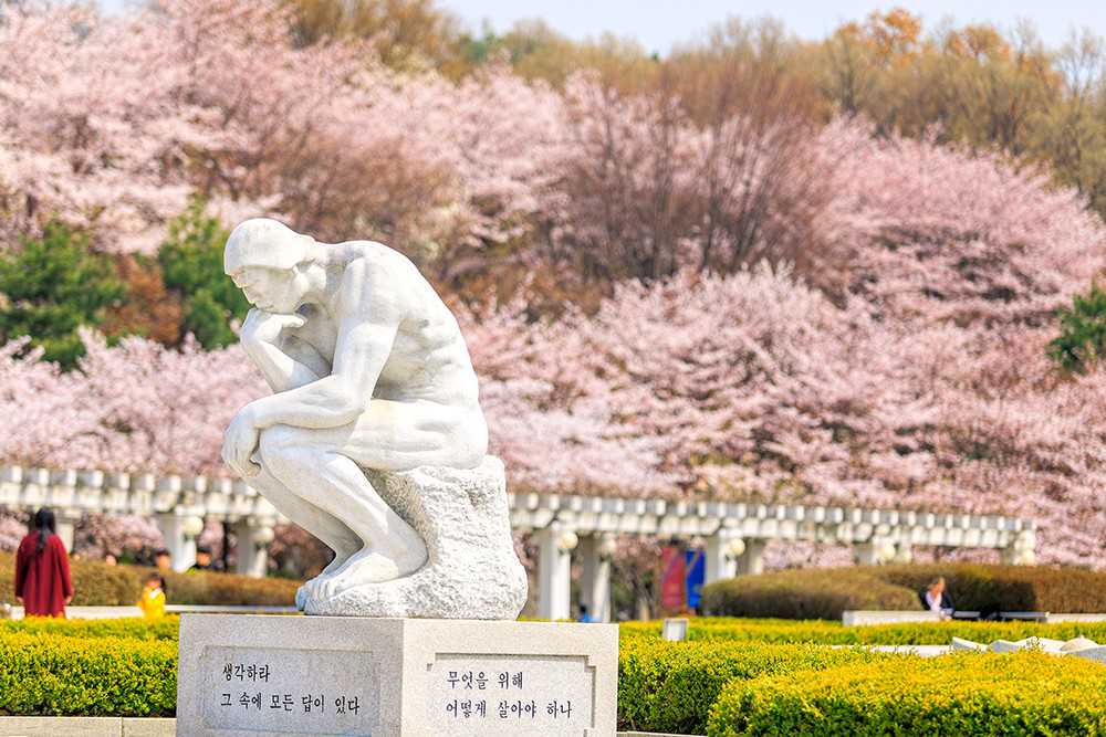 申请伦敦大学圣乔治学院需要哪些条件？