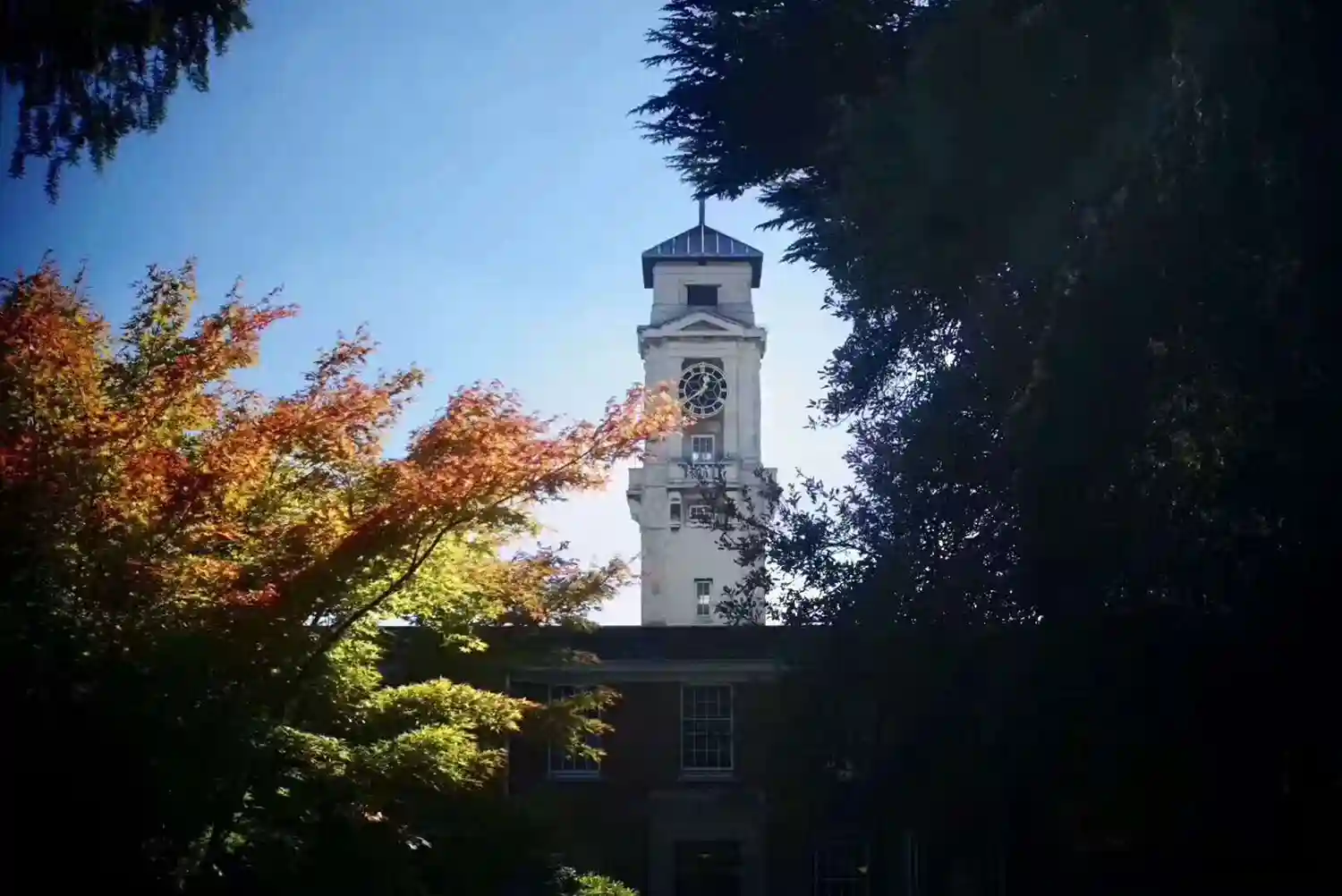 留学专业推荐——在英国就业率最高五大专业