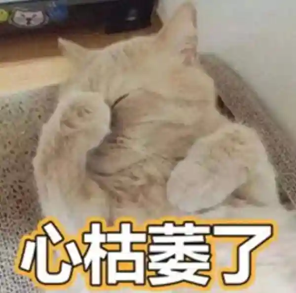 丈夫偷偷给侄子转账20万元，侄子却以极端方式继续索要75万元，妻子知道后起诉二人……