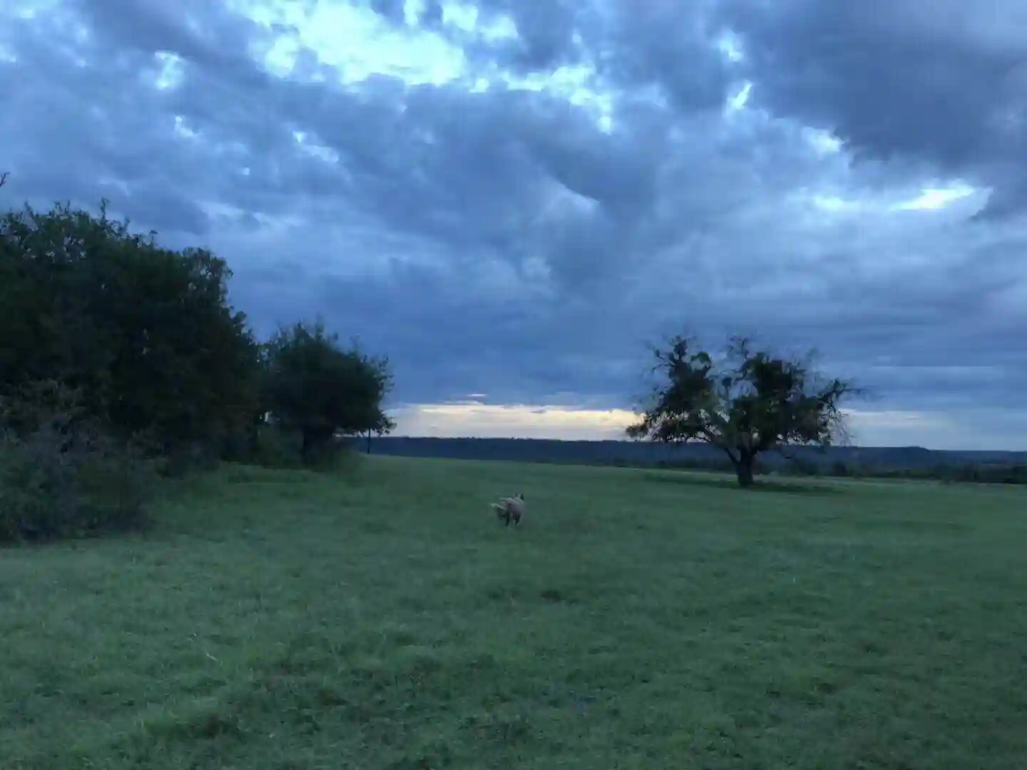 留学美国第一公立大学，加州大学伯克利分校，一年要花多少钱？