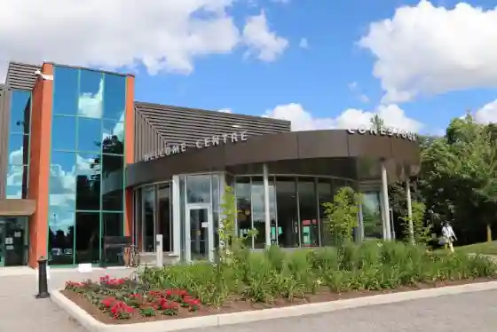 数据分析师，全球150万职位空缺，起薪可达50万人民币